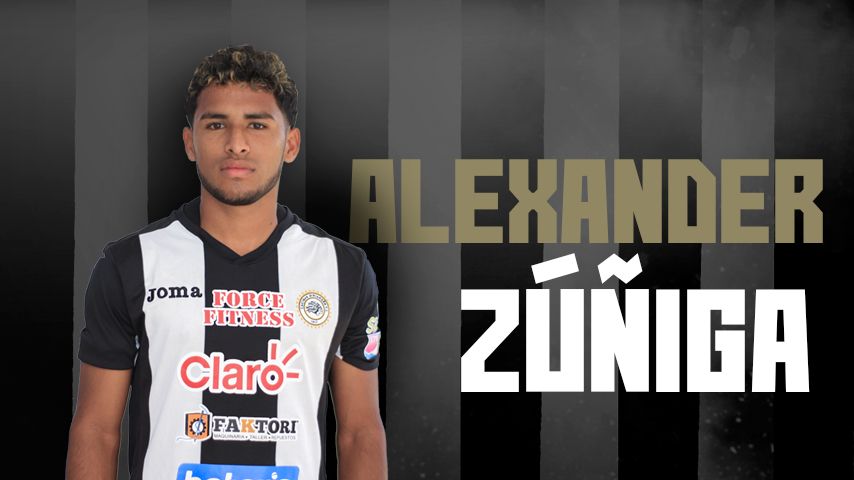 Alexander Alexander - 22